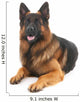 German shepherd Wall Decal