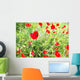 poppies Wall Mural