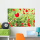 poppies Wall Mural