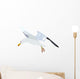 goéland Wall Decal