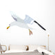 goéland Wall Decal