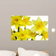 Daffodils Wall Decal