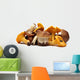 Wild Foraged Mushroom Wall Decal