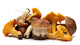 Wild Foraged Mushroom Wall Decal