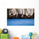aikido Wall Mural