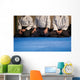 aikido Wall Mural