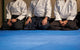aikido Wall Mural