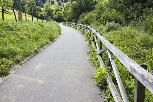 Pedestrian Path Surrounded