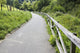 Pedestrian Path Surrounded