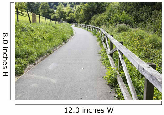 Pedestrian Path Surrounded