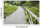 Pedestrian Path Surrounded