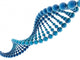 DNA model Wall Decal