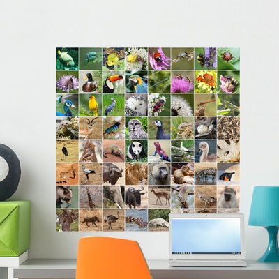 Wildlife Collage Wall Mural shown on a wall