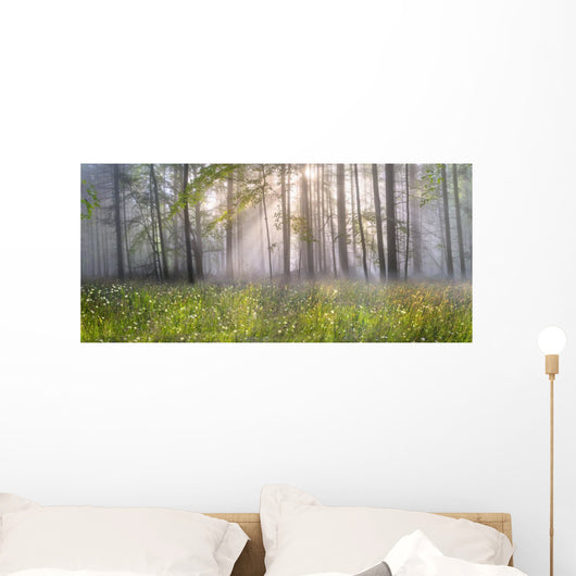 Magic Carpathian forest at dawn Wall Mural