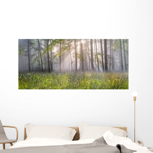Magic Carpathian forest at dawn Wall Mural