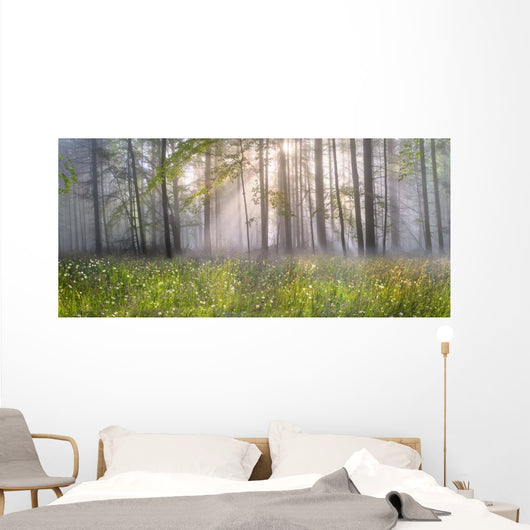 Magic Carpathian forest at dawn Wall Mural