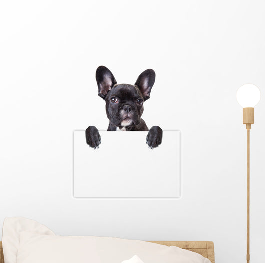dog keeps a sheet of paper Wall Decal