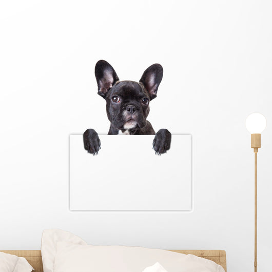 dog keeps a sheet of paper Wall Decal
