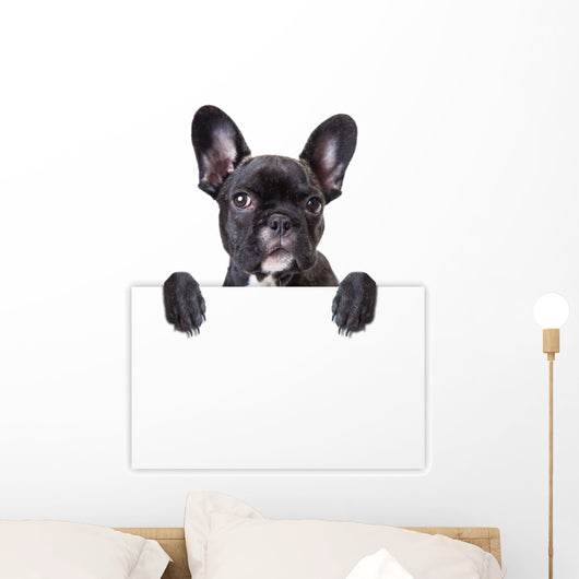 dog keeps a sheet of paper Wall Decal