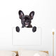 dog keeps a sheet of paper Wall Decal