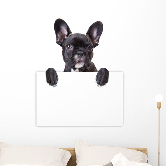 dog keeps a sheet of paper Wall Decal