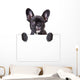 dog keeps a sheet of paper Wall Decal