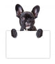 dog keeps a sheet of paper Wall Decal