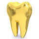 Golden Tooth Wall Decal