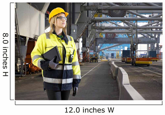 Industrial Harbor inspector Wall Mural
