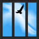 Soaring Bird out Prison