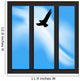 Soaring Bird out Prison