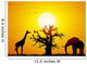 Elephant and giraffe with a baobab at sunset Wall Mural