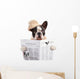 French bulldog in hat reading newspaper over white Wall Decal