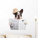 French bulldog in hat reading newspaper over white Wall Decal