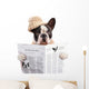 French bulldog in hat reading newspaper over white Wall Decal