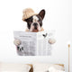 French bulldog in hat reading newspaper over white Wall Decal