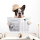 French bulldog in hat reading newspaper over white Wall Decal