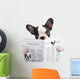 French bulldog reading newspaper over white Wall Decal