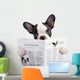 French bulldog reading newspaper over white Wall Decal