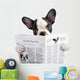 French bulldog reading newspaper over white Wall Decal