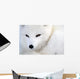 Arctic Fox Wall Mural