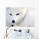 Arctic Fox Wall Mural