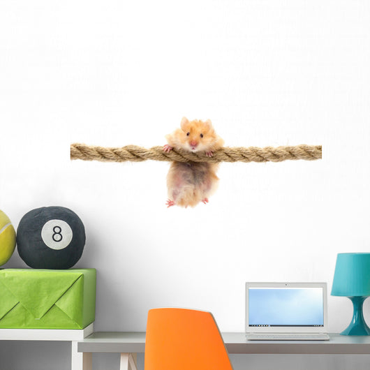 hamster Wall Decal