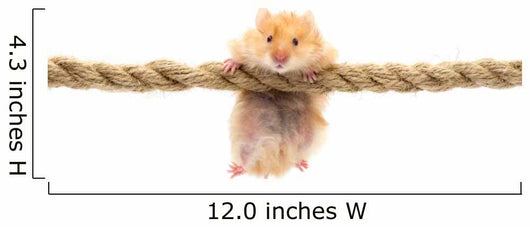 hamster Wall Decal