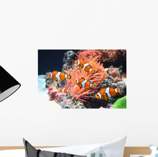 Sea anemone and clown fish Wall Mural