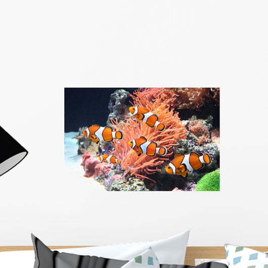 Sea anemone and clown fish Wall Mural