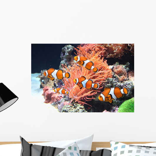 Sea anemone and clown fish Wall Mural