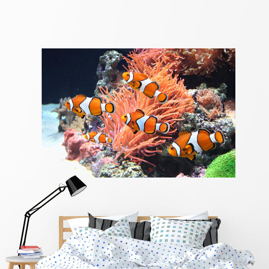 Sea anemone and clown fish Wall Mural