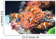 Sea anemone and clown fish Wall Mural