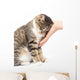 caress a cat on a white background Wall Mural